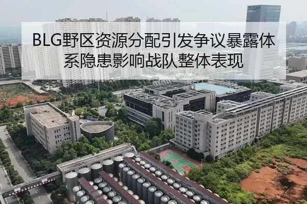 BLG野区资源分配引发争议暴露体系隐患影响战队整体表现