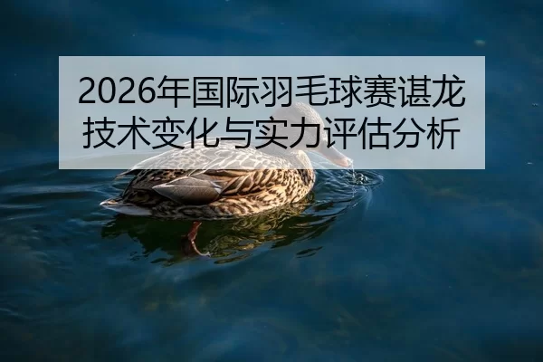 2026年国际羽毛球赛谌龙技术变化与实力评估分析