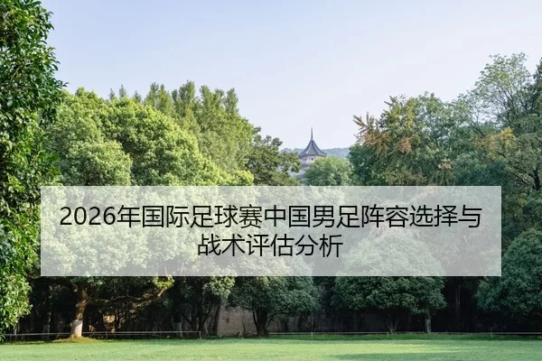 2026年国际足球赛中国男足阵容选择与战术评估分析