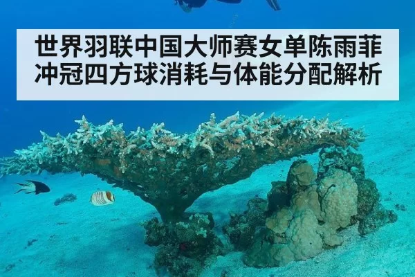 世界羽联中国大师赛女单陈雨菲冲冠四方球消耗与体能分配解析